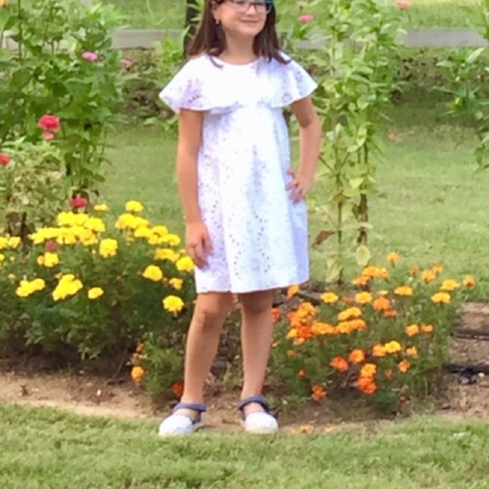 Zara Eyelet Dress